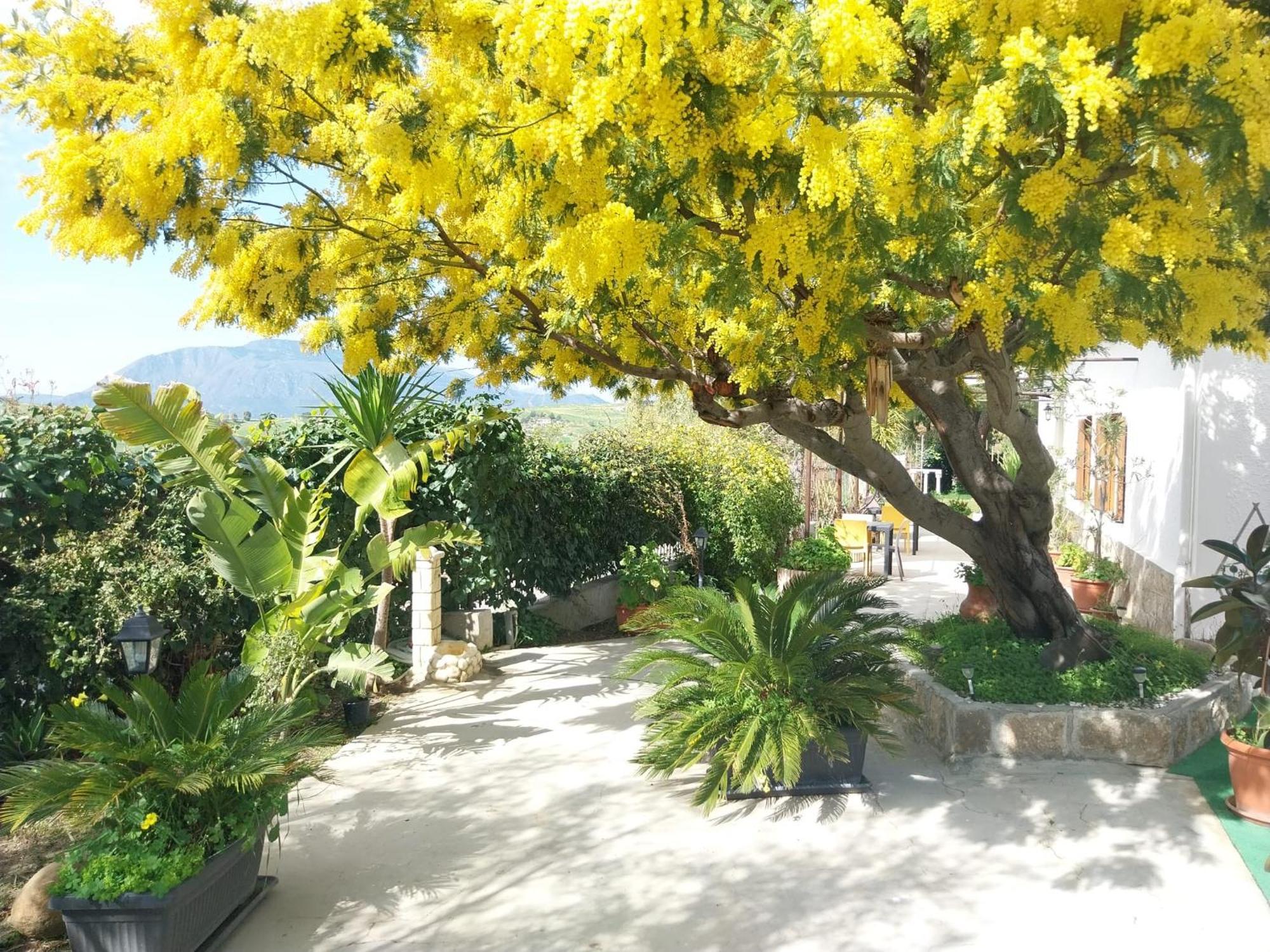 Casa Lachesi Caccamo Bagian luar foto