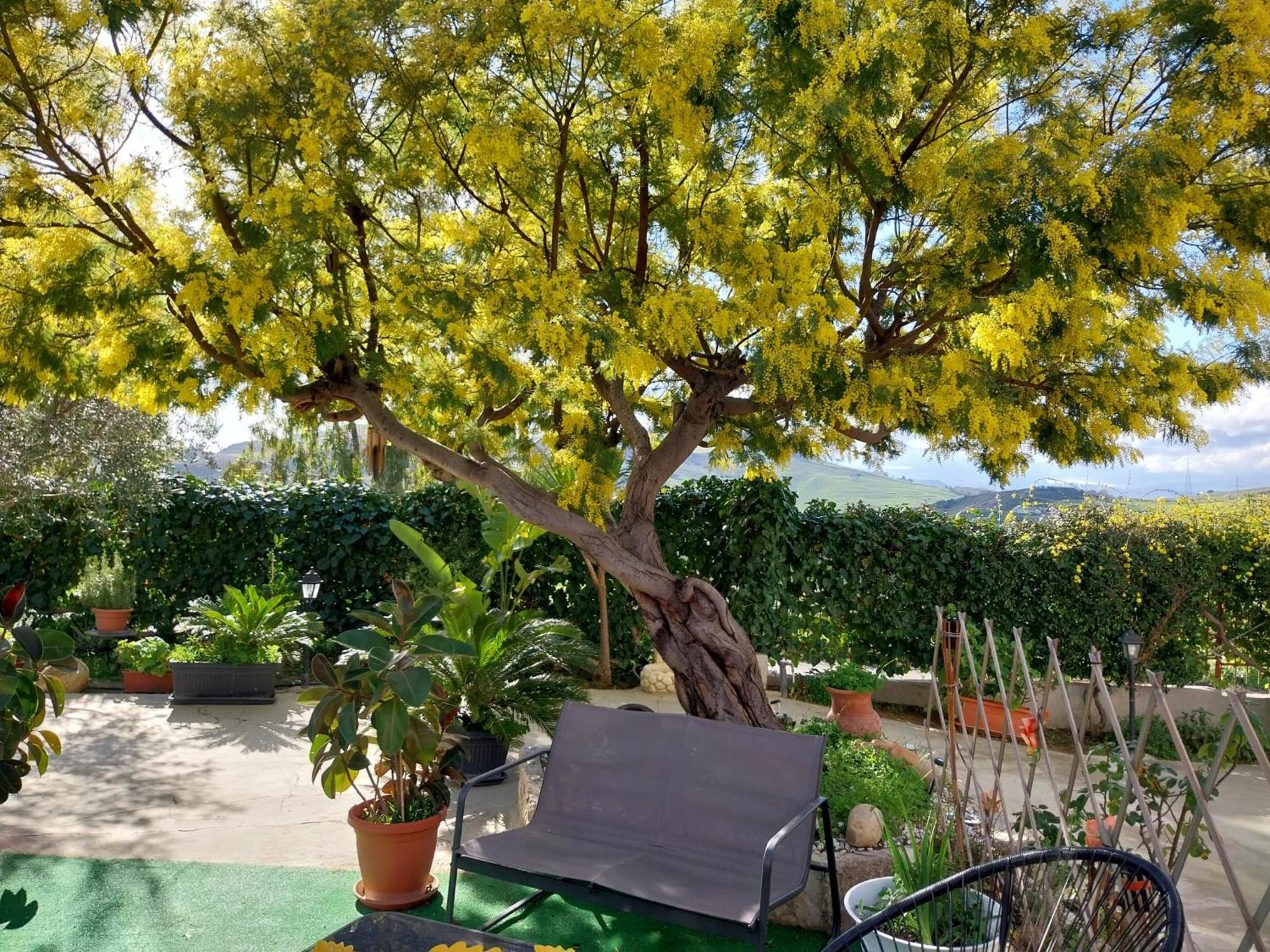 Casa Lachesi Caccamo Bagian luar foto